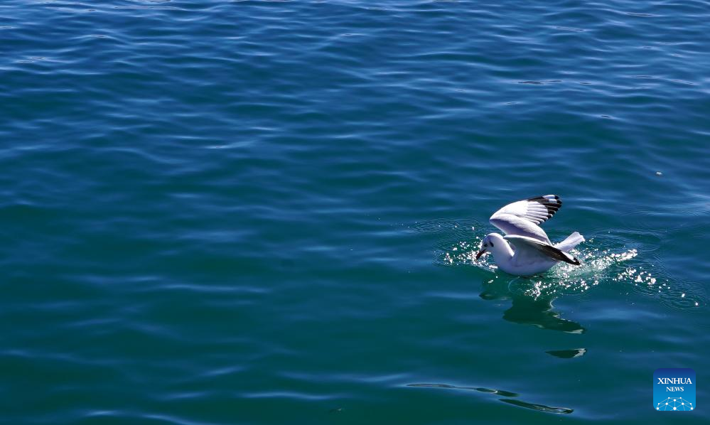Winter scenery of Qinghai Lake