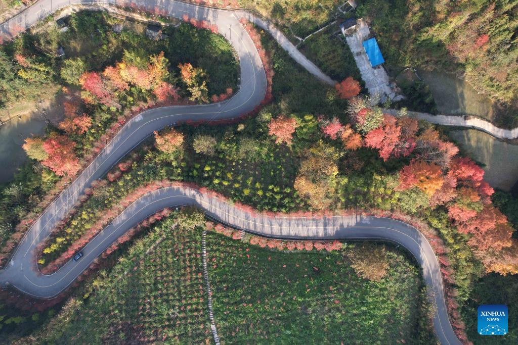 A glimpse of winter scenery in China