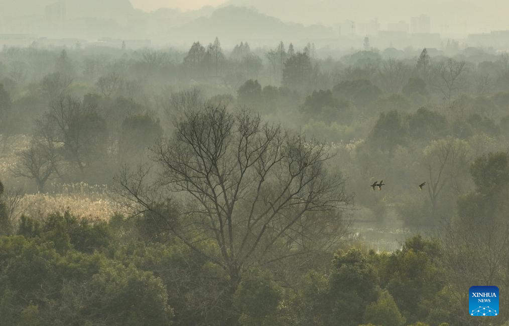 Winter scenery of Xixi Wetland in Hangzhou, E China