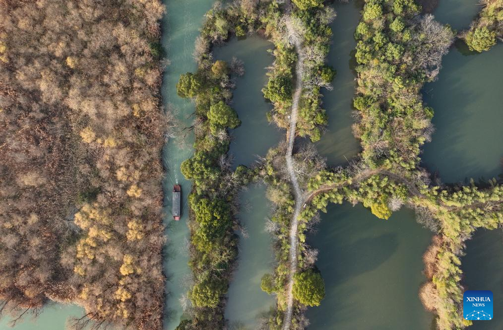 Winter scenery of Xixi Wetland in Hangzhou, E China