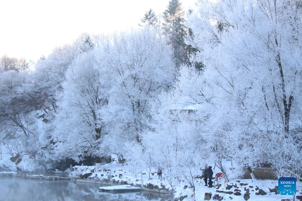 In pics: rime scenery at Benxi Water Cave scenic area in China's Liaoning