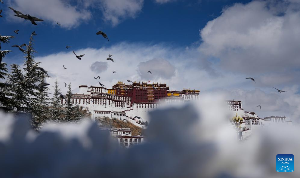 In pics: snow falls in Lhasa