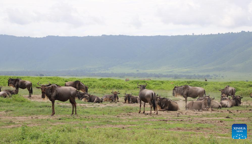 In pics: Ngorongoro Conservation Area in Tanzania