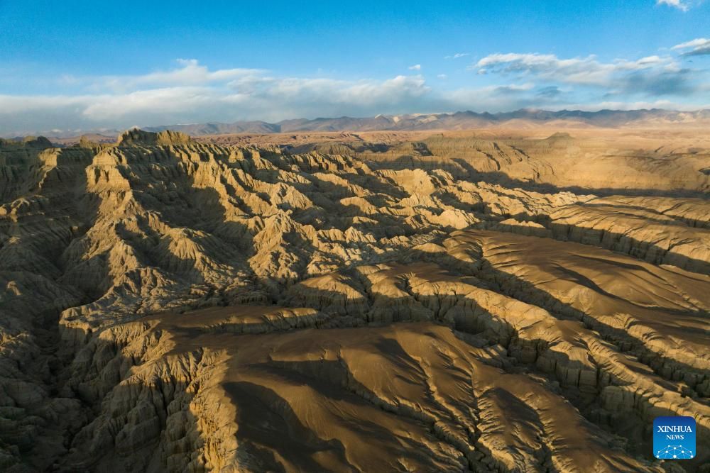 Landscape of earth forest in Zanda County, China's Xizang