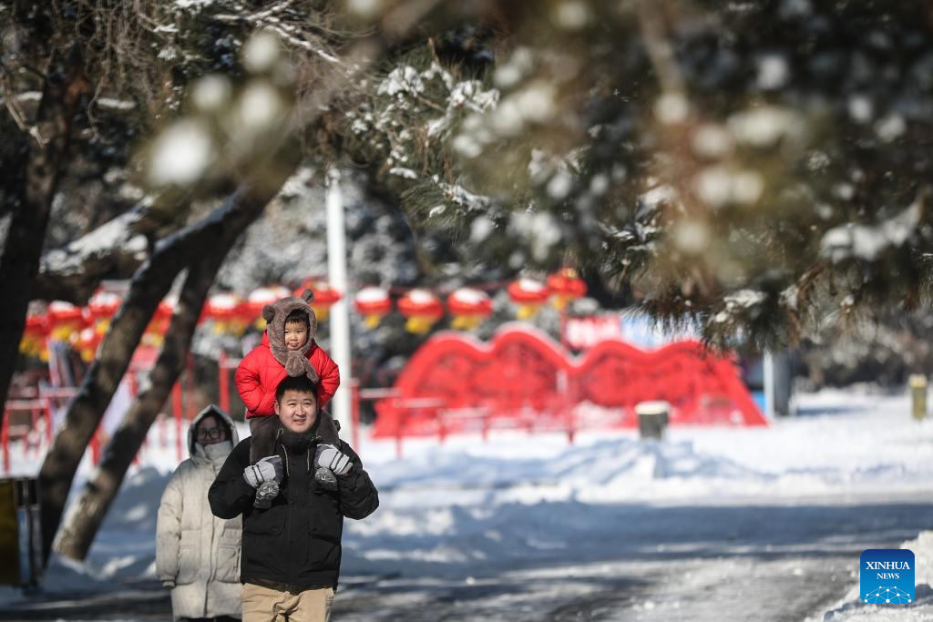 Snow scenery in Shenyang, NE China