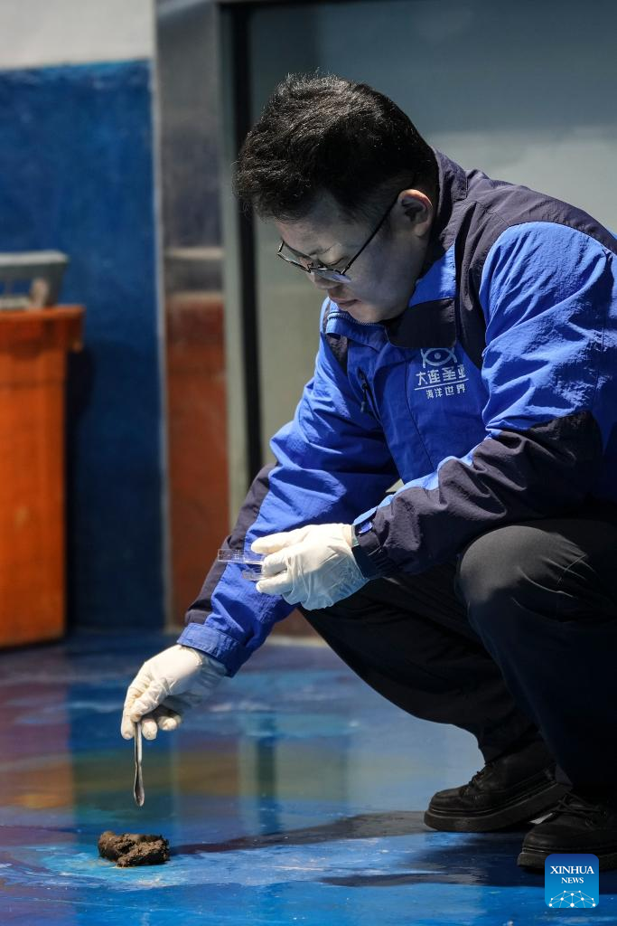 NE China's breeding base dedicated to increasing population of spotted seals