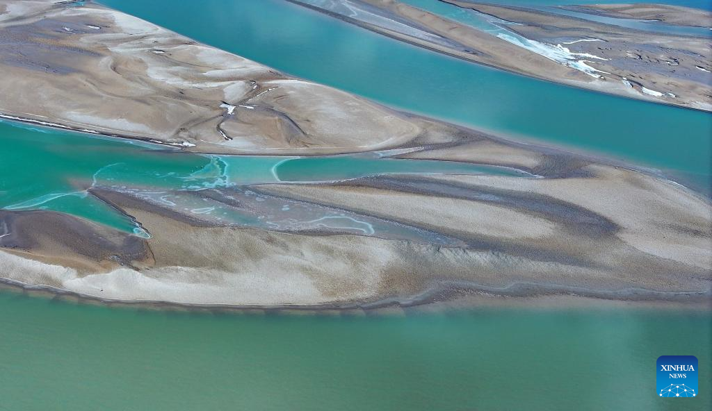 In pics: migratory birds flying over Yellow River in Ningxia