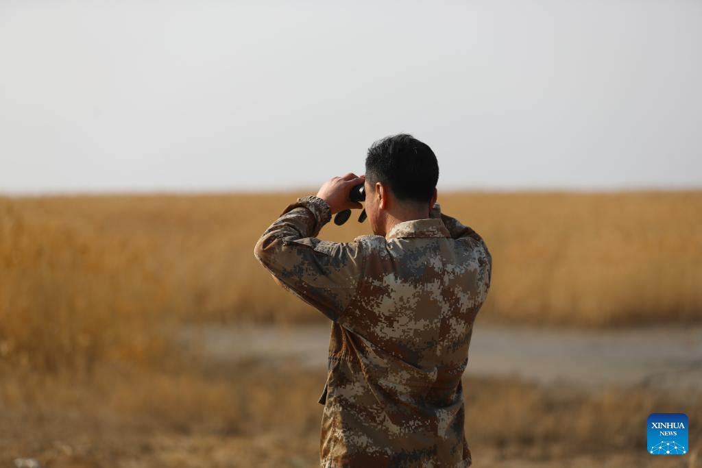 Pic story: breeder of red-crowned cranes in Panjin, NE China