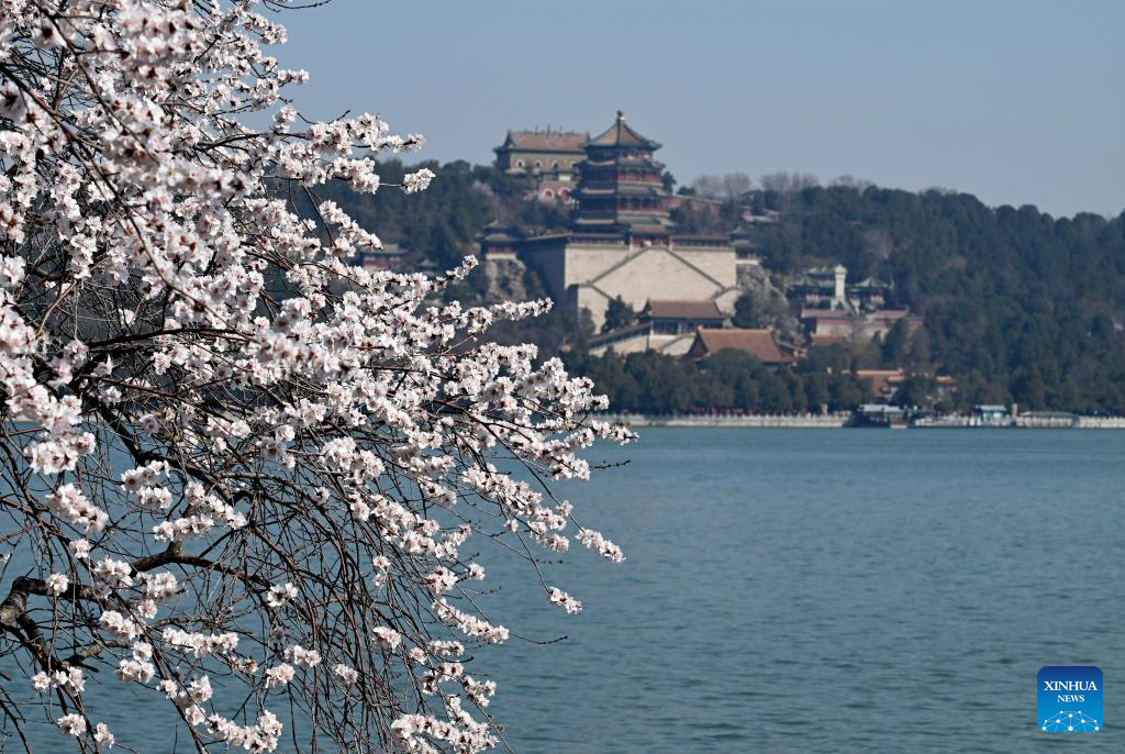 In pics: spring flowers in full bloom at Summer Palace in Beijing