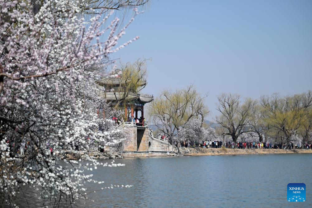 In pics: spring flowers in full bloom at Summer Palace in Beijing