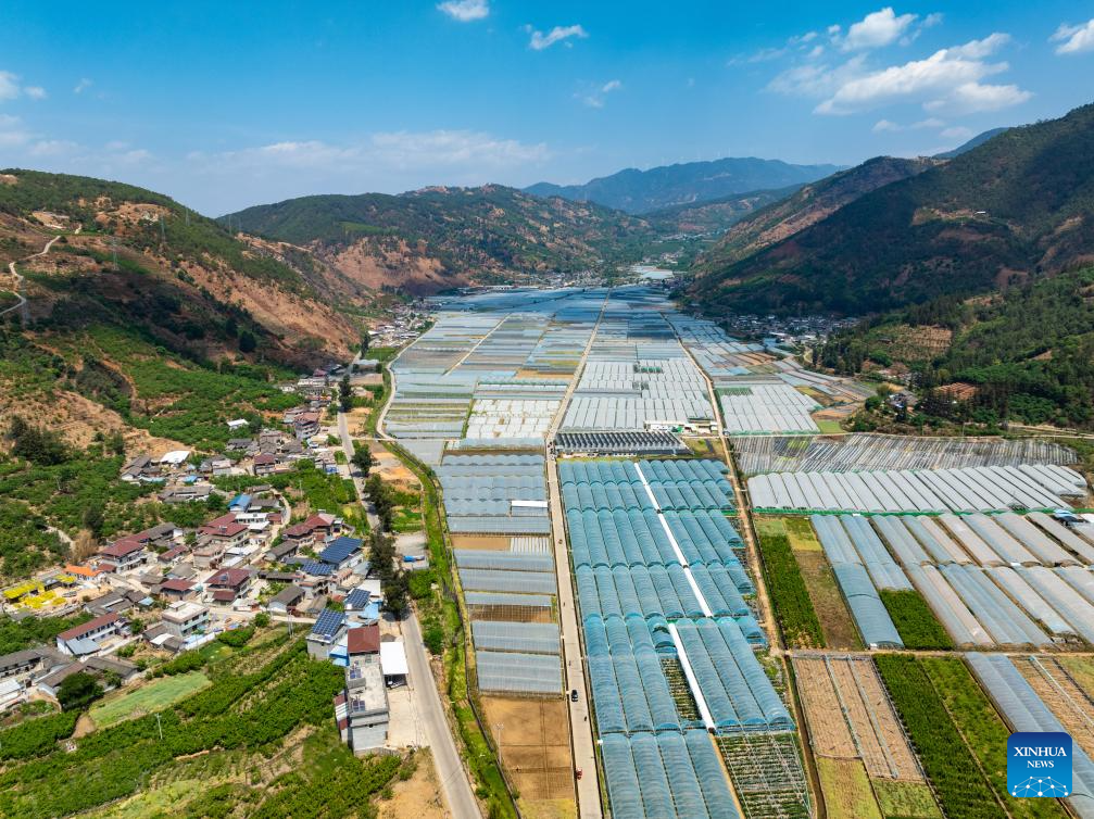 Modern science and technology boost agricultural development in SW China