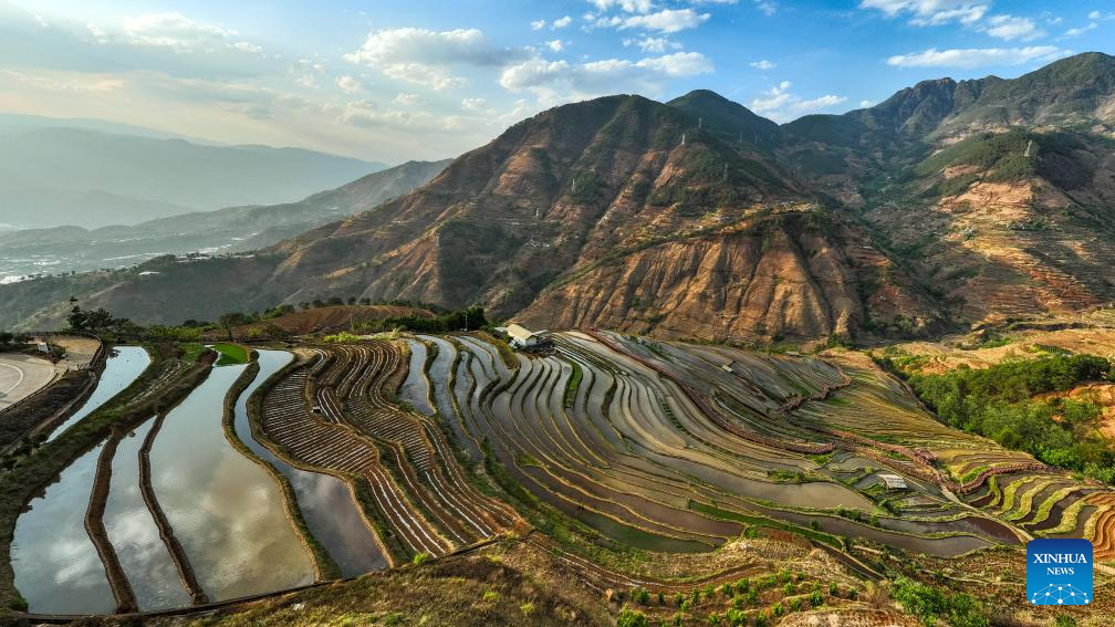 Modern science and technology boost agricultural development in SW China