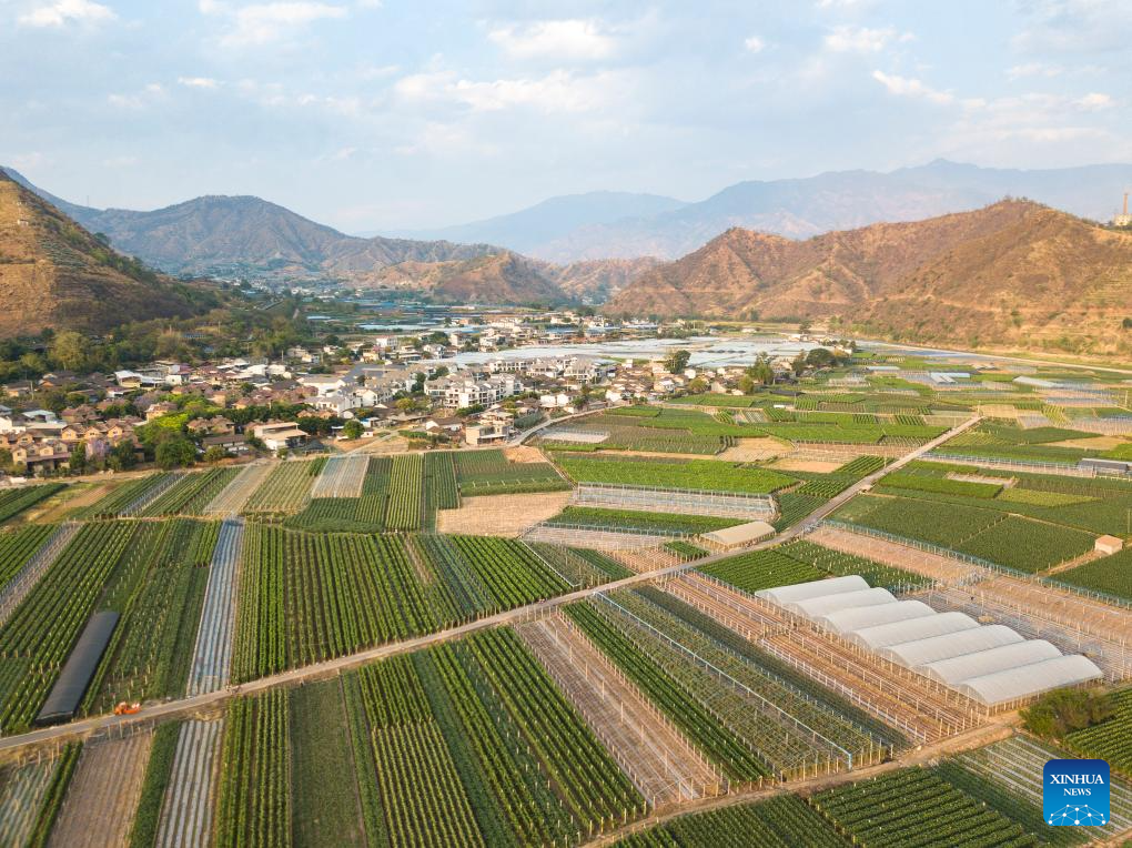 Modern science and technology boost agricultural development in SW China