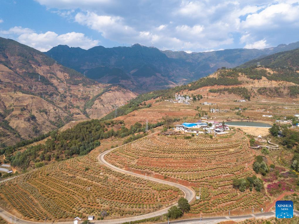 Modern science and technology boost agricultural development in SW China