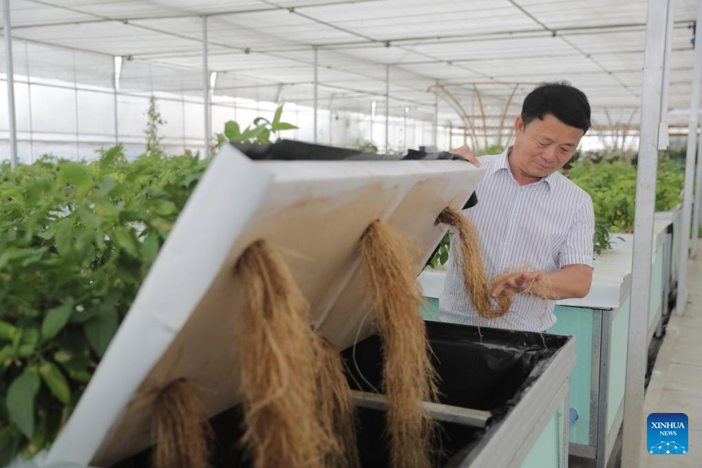 Modern science and technology boost agricultural development in SW China