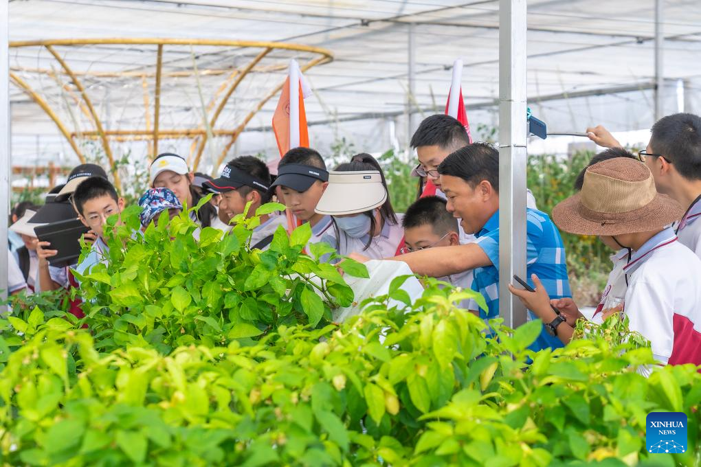 Modern science and technology boost agricultural development in SW China