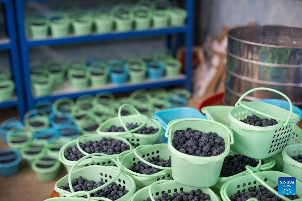 Modern science and technology boost agricultural development in SW China