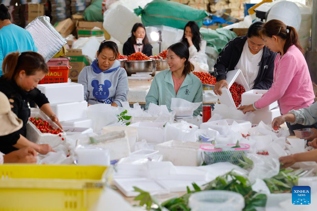 Modern science and technology boost agricultural development in SW China