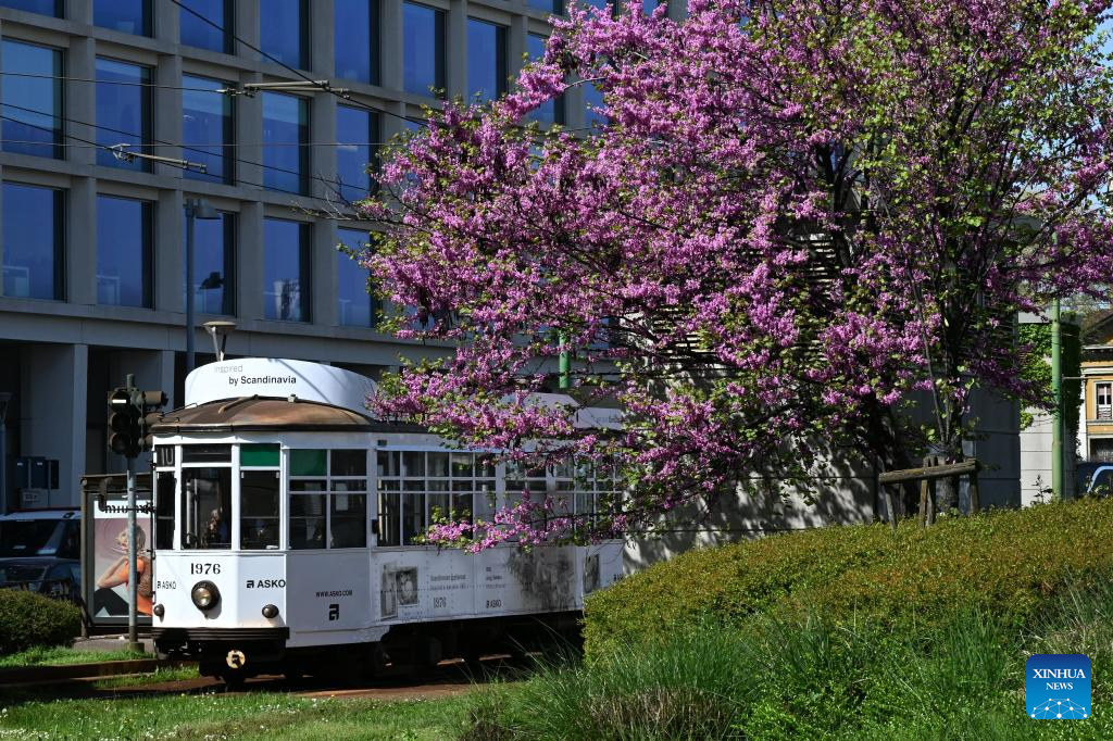 A glimpse of spring scenery worldwide