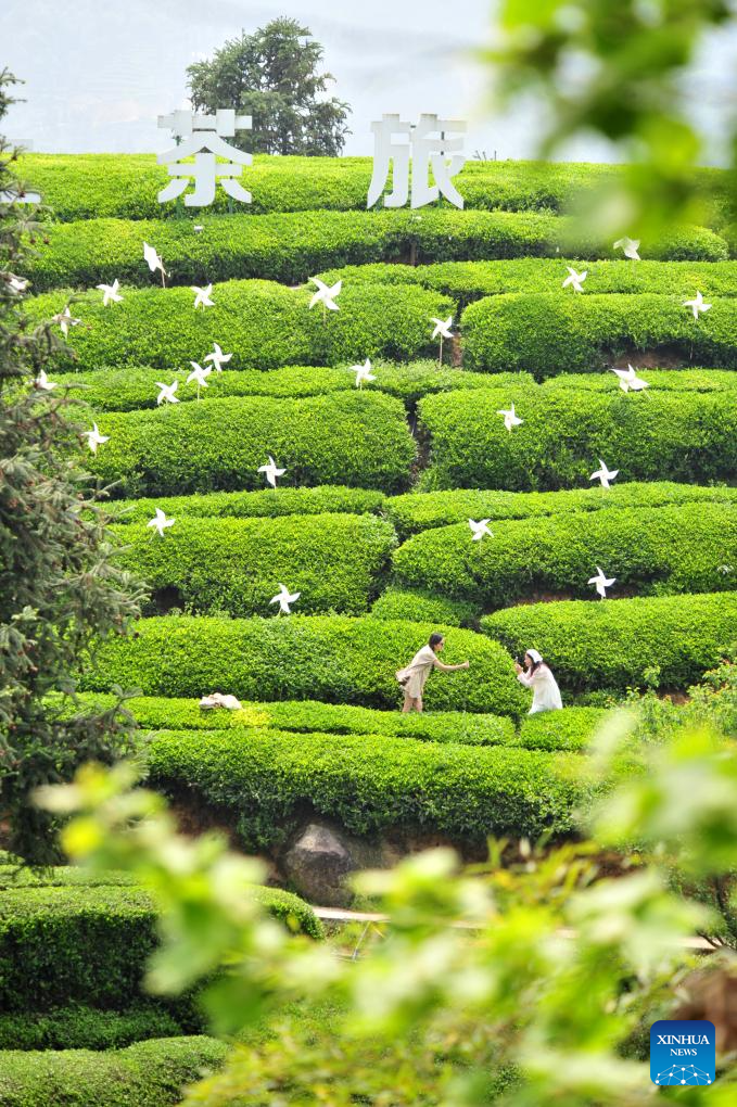 Amazing spring scenery across China