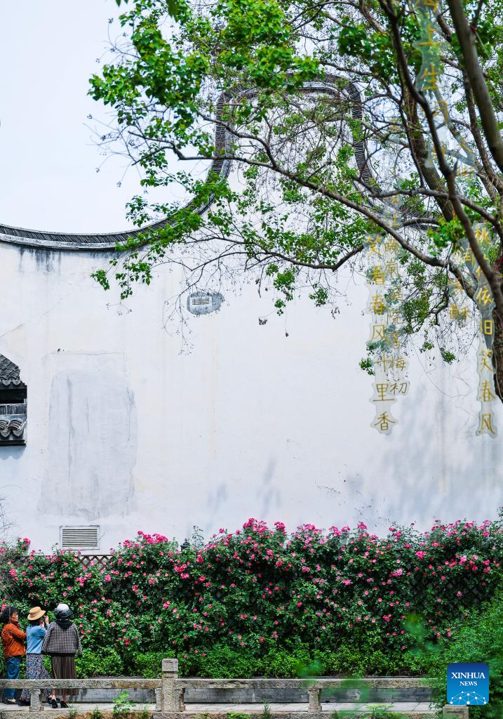 Revitalized Yuehe historical area becomes tourist attraction in Jiaxing, E China