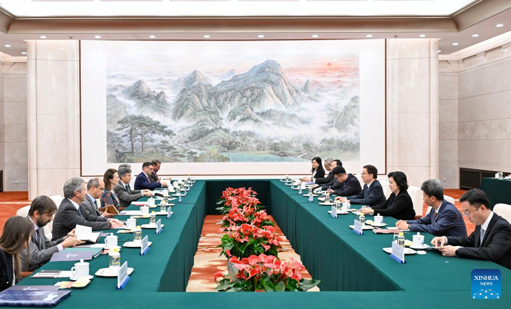 Chinese vice president meets Argentine foreign minister