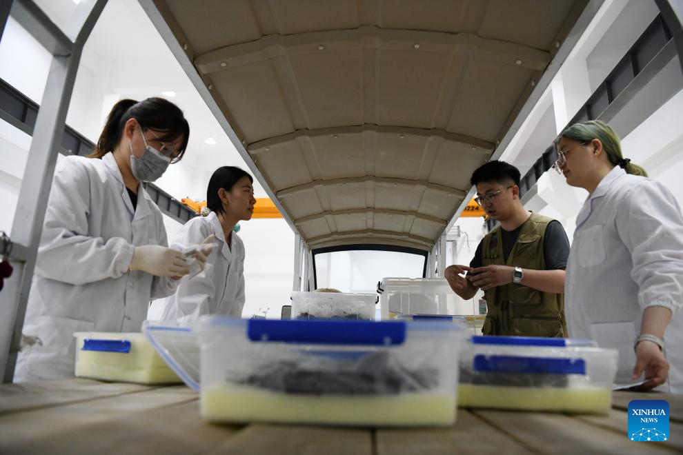 Archaeological excavation at Wuwangdun tomb in Anhui yields major findings