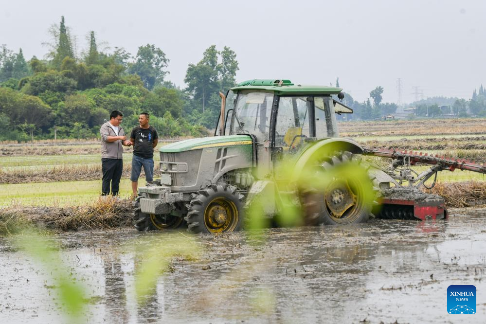 Young farmer uses modern technology to empower traditional agriculture in SW China