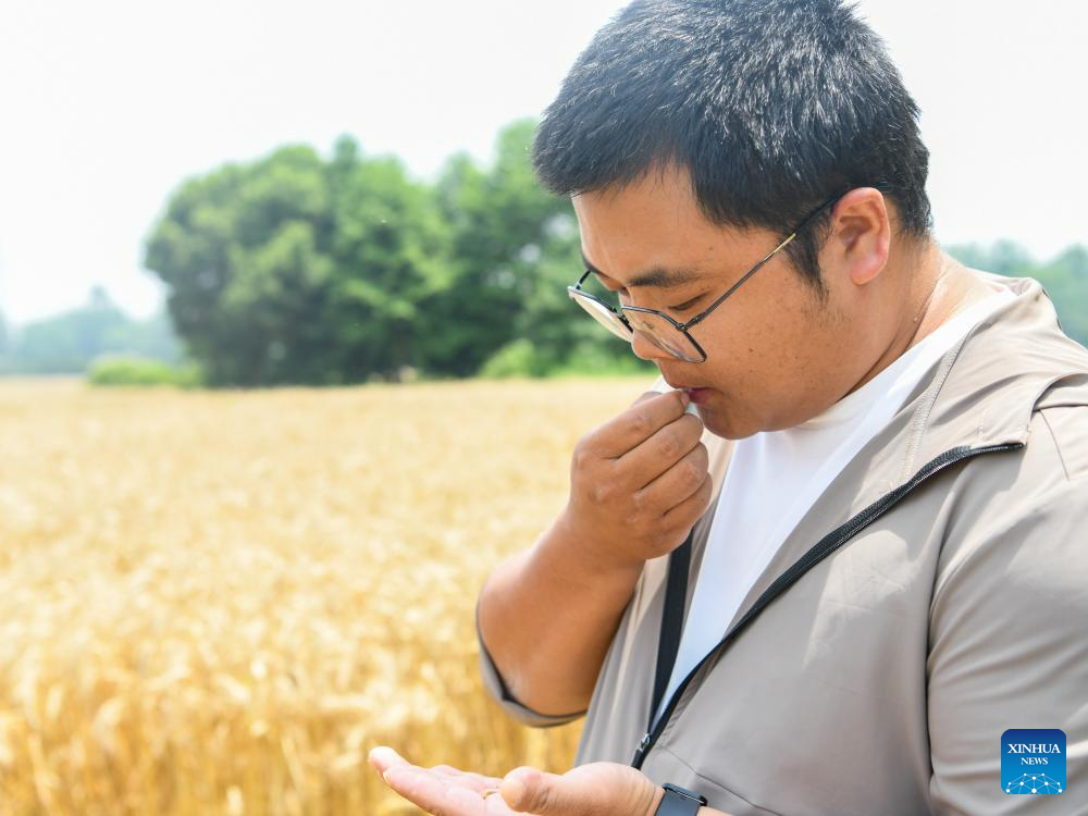 Young farmer uses modern technology to empower traditional agriculture in SW China