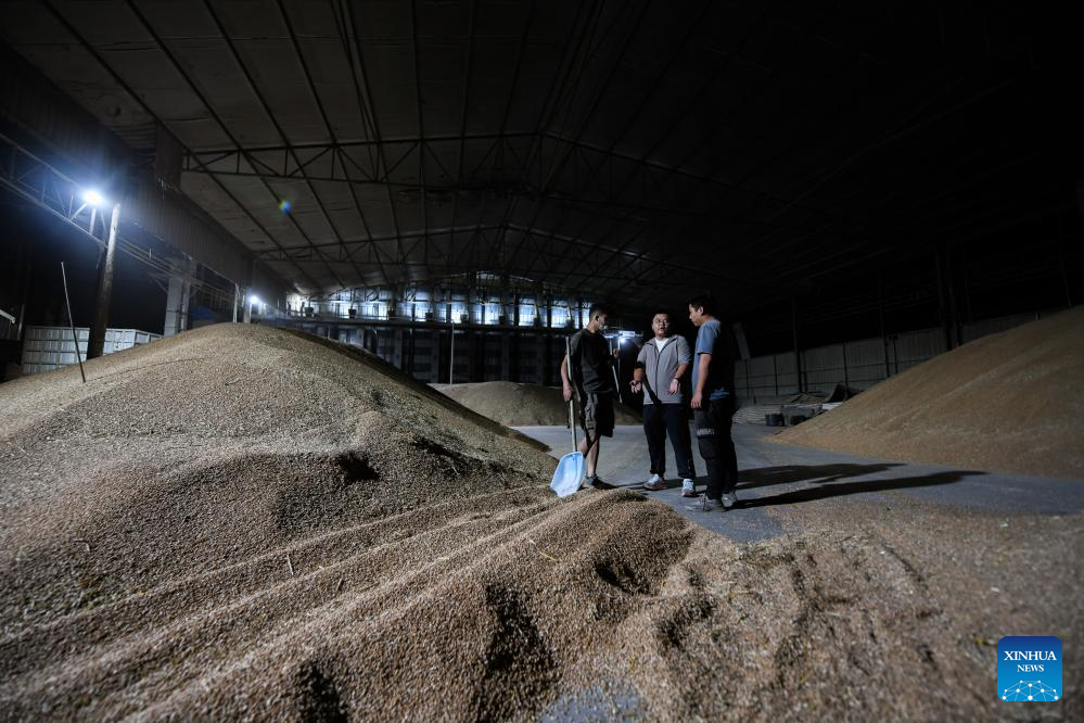 Young farmer uses modern technology to empower traditional agriculture in SW China