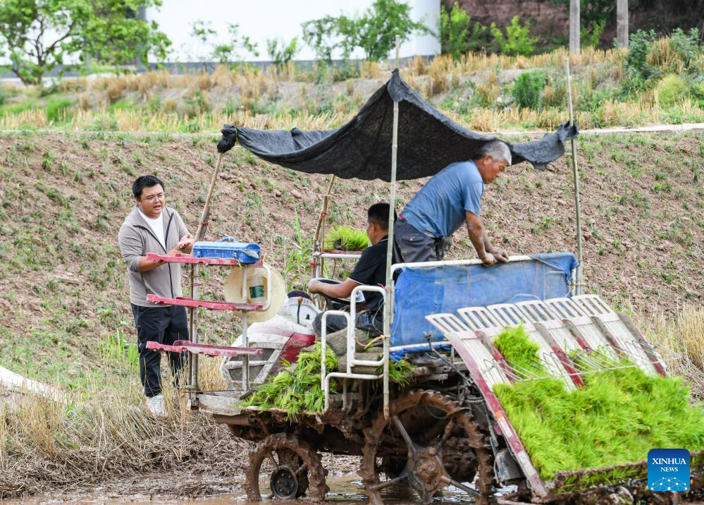 Young farmer uses modern technology to empower traditional agriculture in SW China