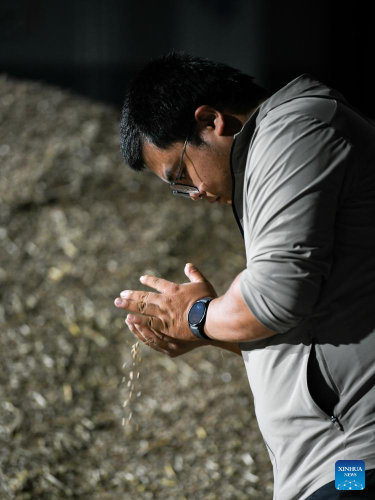 Young farmer uses modern technology to empower traditional agriculture in SW China