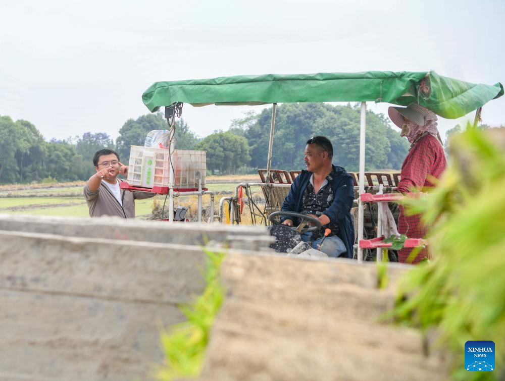 Young farmer uses modern technology to empower traditional agriculture in SW China