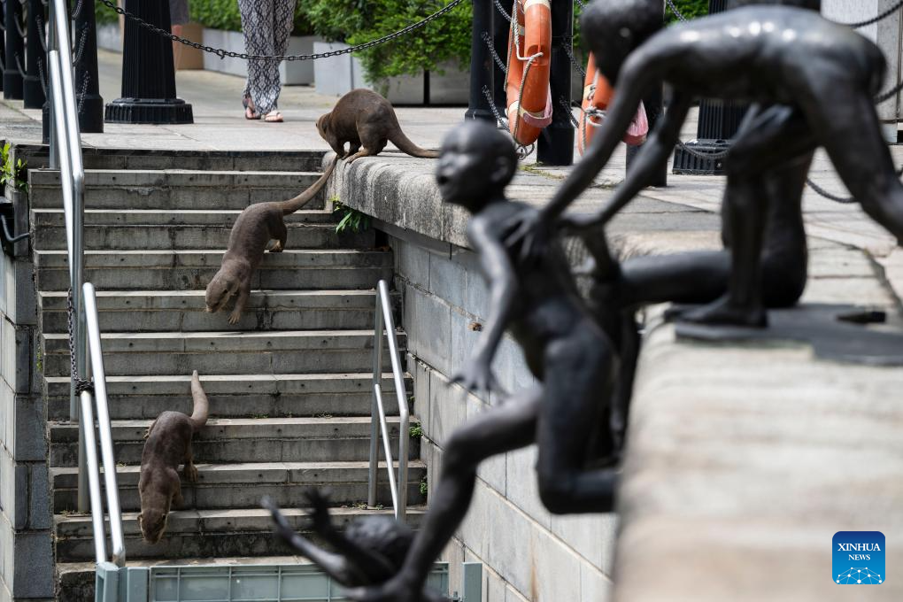 World Otter Day celebrated in Singapore