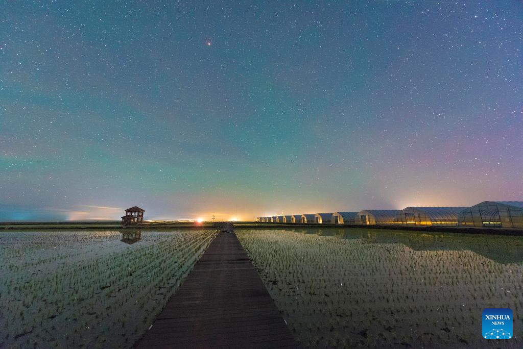 Night view of paddy fields in Heilongjiang, NE China