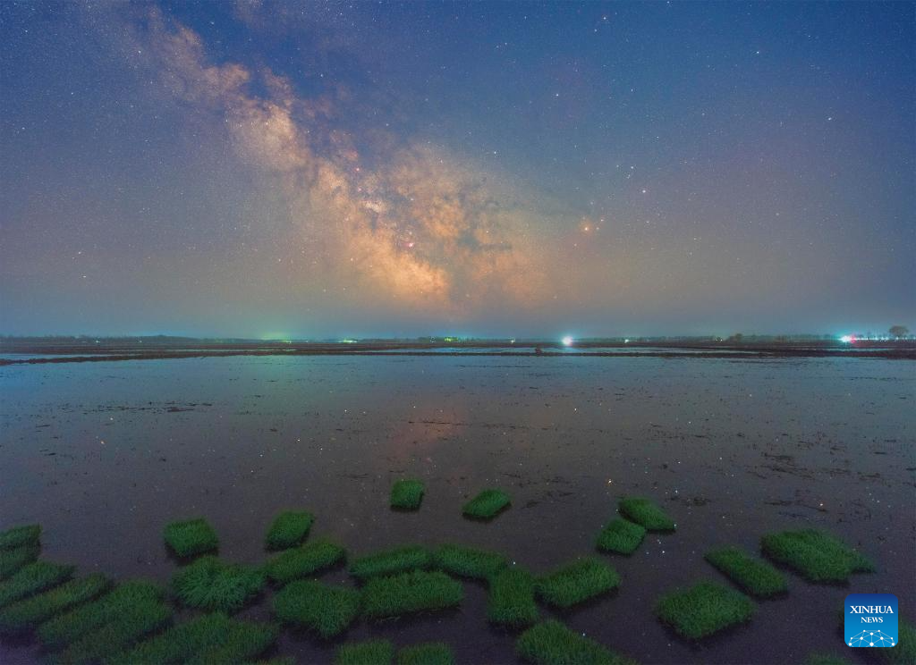 Night view of paddy fields in Heilongjiang, NE China