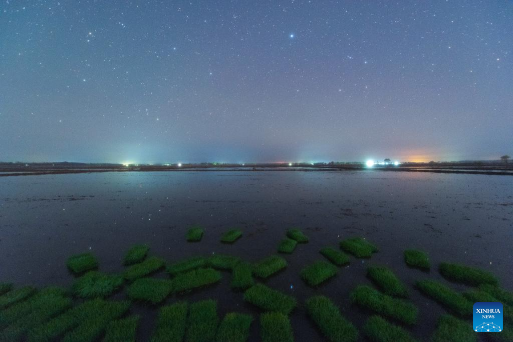 Night view of paddy fields in Heilongjiang, NE China