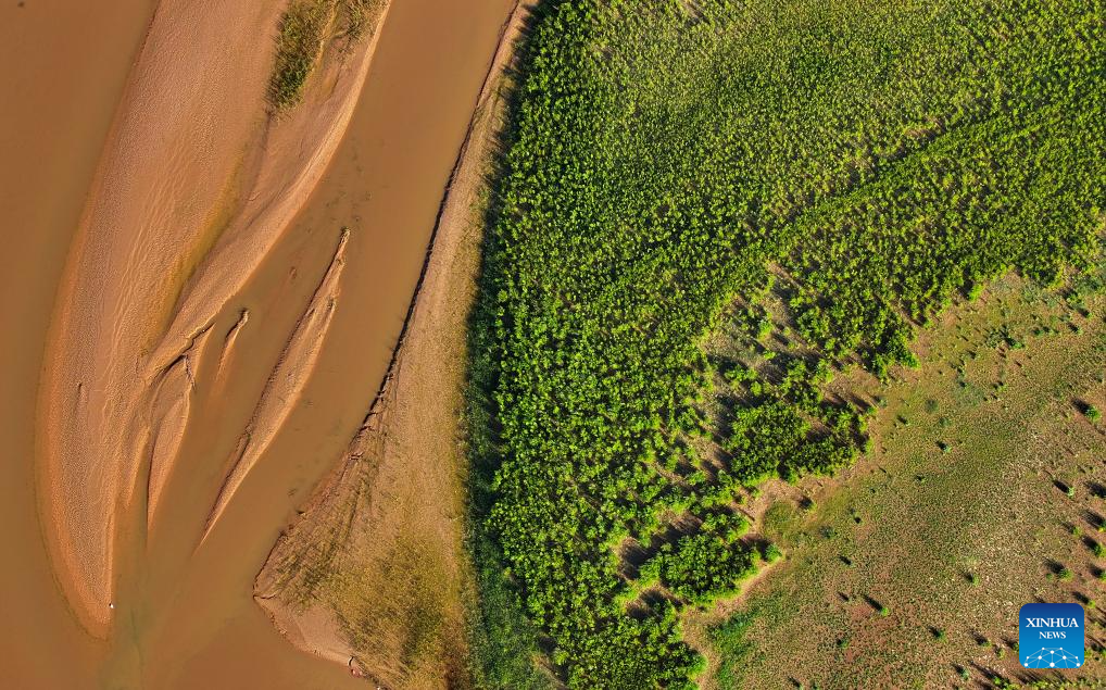 Scenery of Yellow River in Yinchuan, NW China