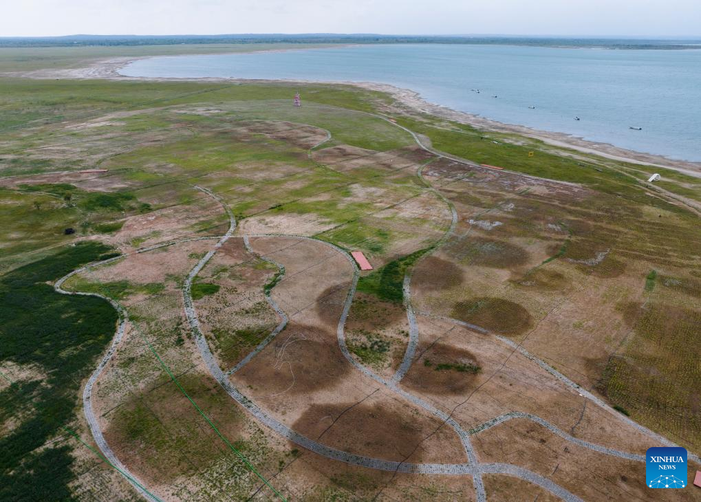 Hongjiannao Lake in China's Shaanxi important habitat, breeding place for relict gull