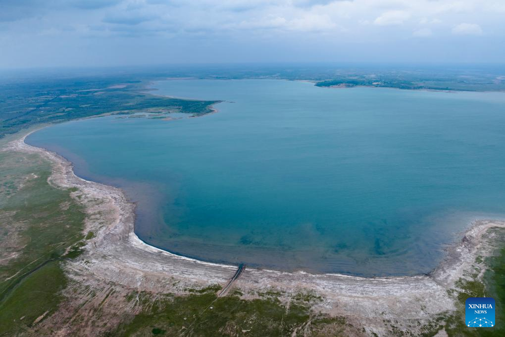 Hongjiannao Lake in China's Shaanxi important habitat, breeding place for relict gull