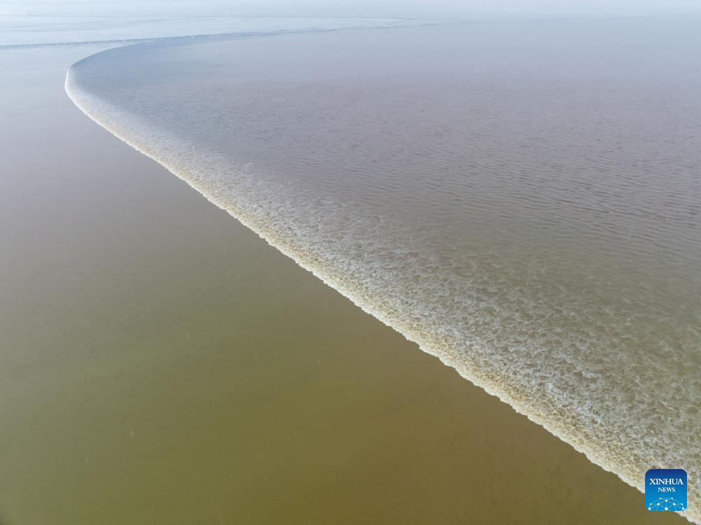 Scenery of tidal flat wetland along Qiantang River in Hangzhou