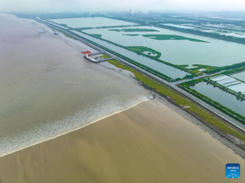 Scenery of tidal flat wetland along Qiantang River in Hangzhou