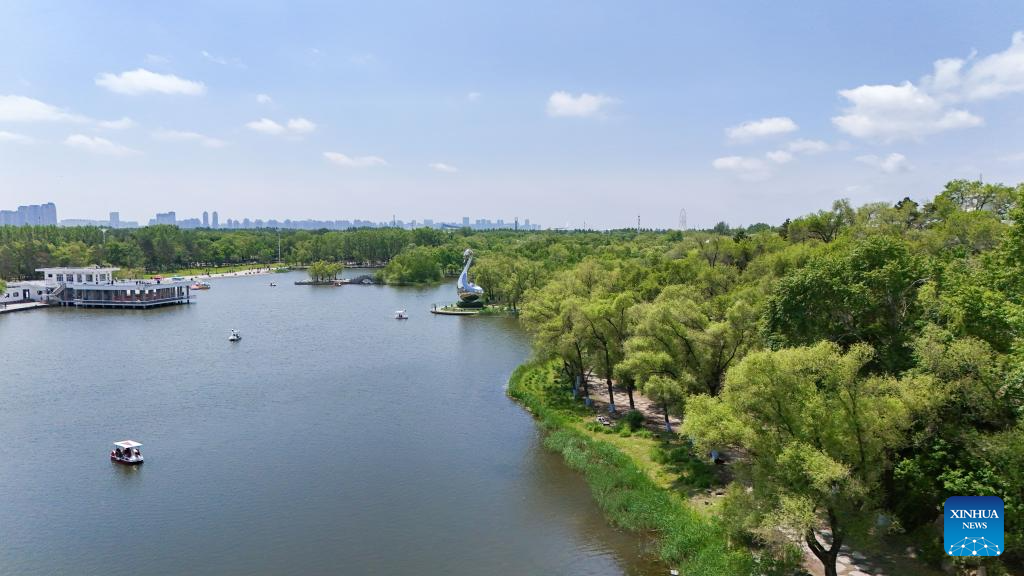 Aerial view of Heilongjiang Taiyangdao National Wetland Park