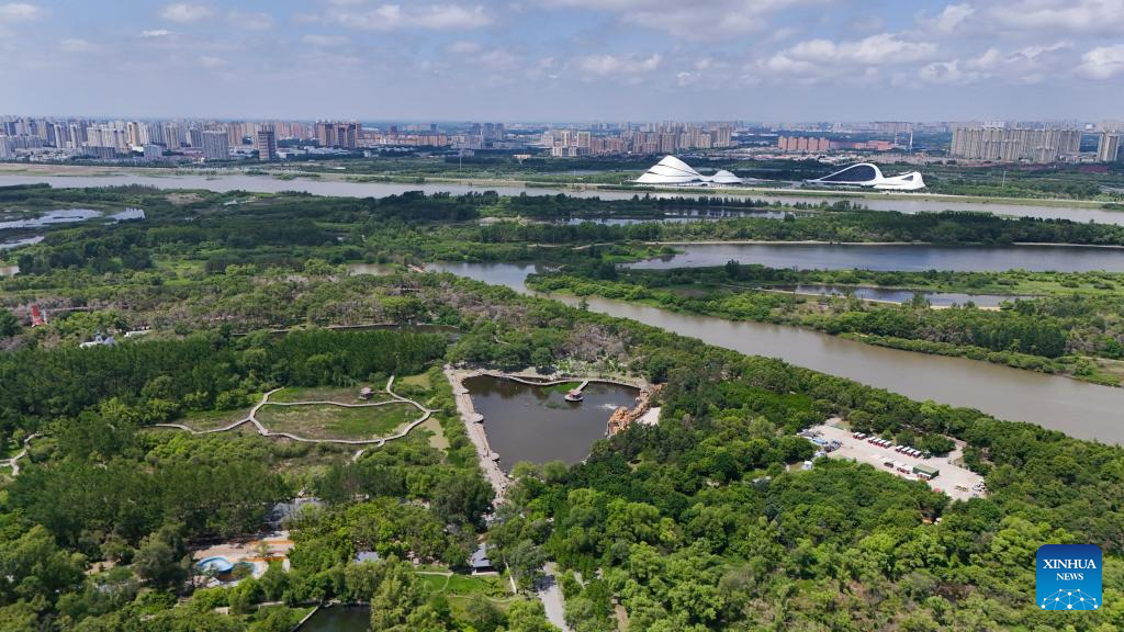 Aerial view of Heilongjiang Taiyangdao National Wetland Park