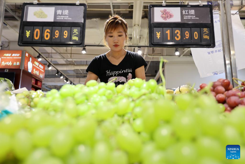 Economic Watch: China's rising CPI points to domestic demand recovery