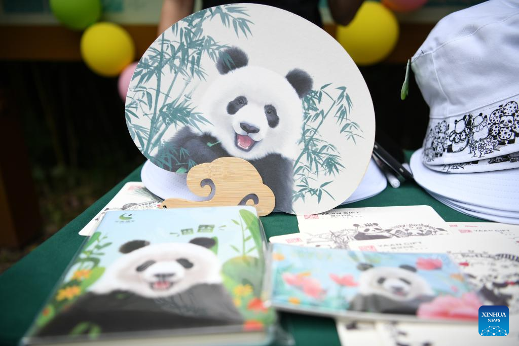 7th birthday of female giant panda Xiang Xiang celebrated in China's Sichuan