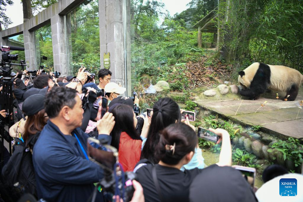 7th birthday of female giant panda Xiang Xiang celebrated in China's Sichuan