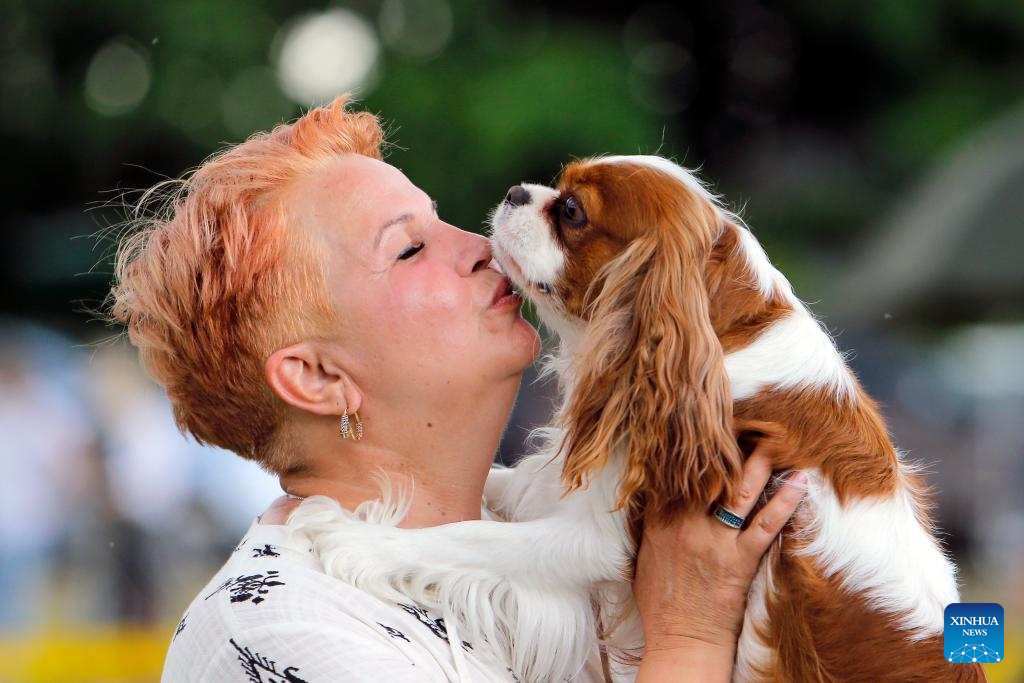 International canine beauty show held in Bucharest, Romania