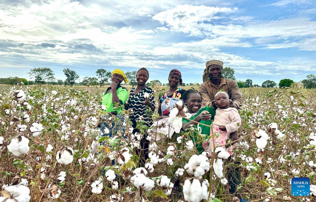 Feature: Chinese technology boosts cotton production in Benin