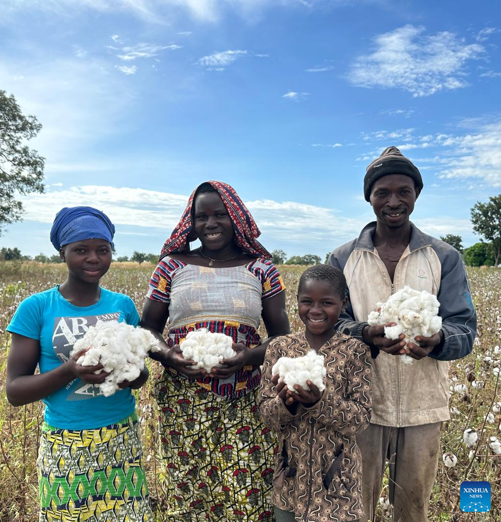 Feature: Chinese technology boosts cotton production in Benin